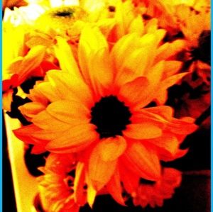 Meet your Posher, Sharon